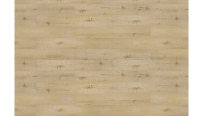 Pane winylowy Dąb Ceres  Solid Floor